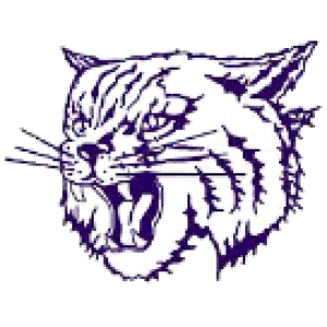 Thornton Township High School logo